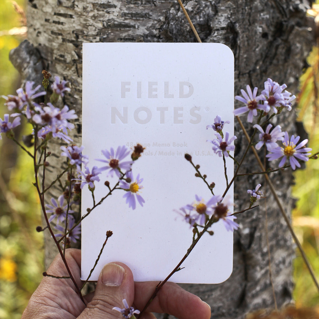 Field Notes Fall 2023 Limited Edition -  Birch Bark - The Journal Shop