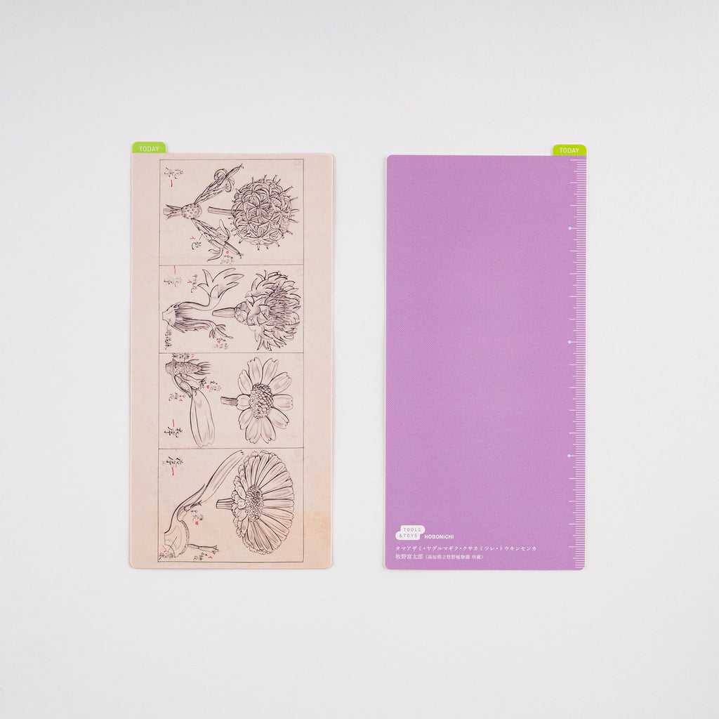Hobonichi Pencil Board [Tomitaro Makino] - The Journal Shop
