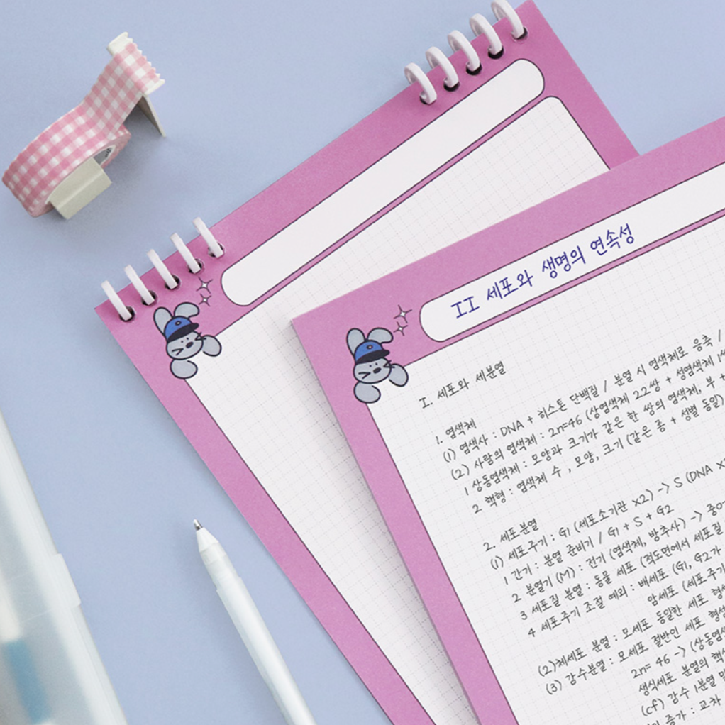Iconic Bunny Notepad - The Journal Shop