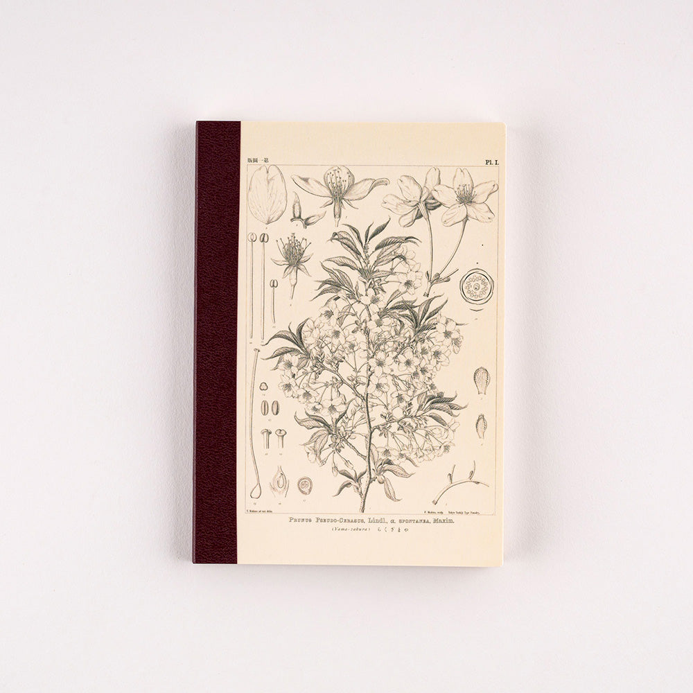 Hobonichi Plain Notebook [Tomitaro Makino: Yamazakura] A6 - The Journal Shop
